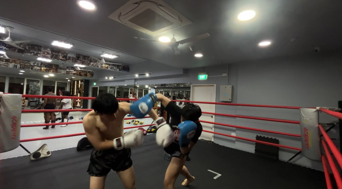 Sparring action