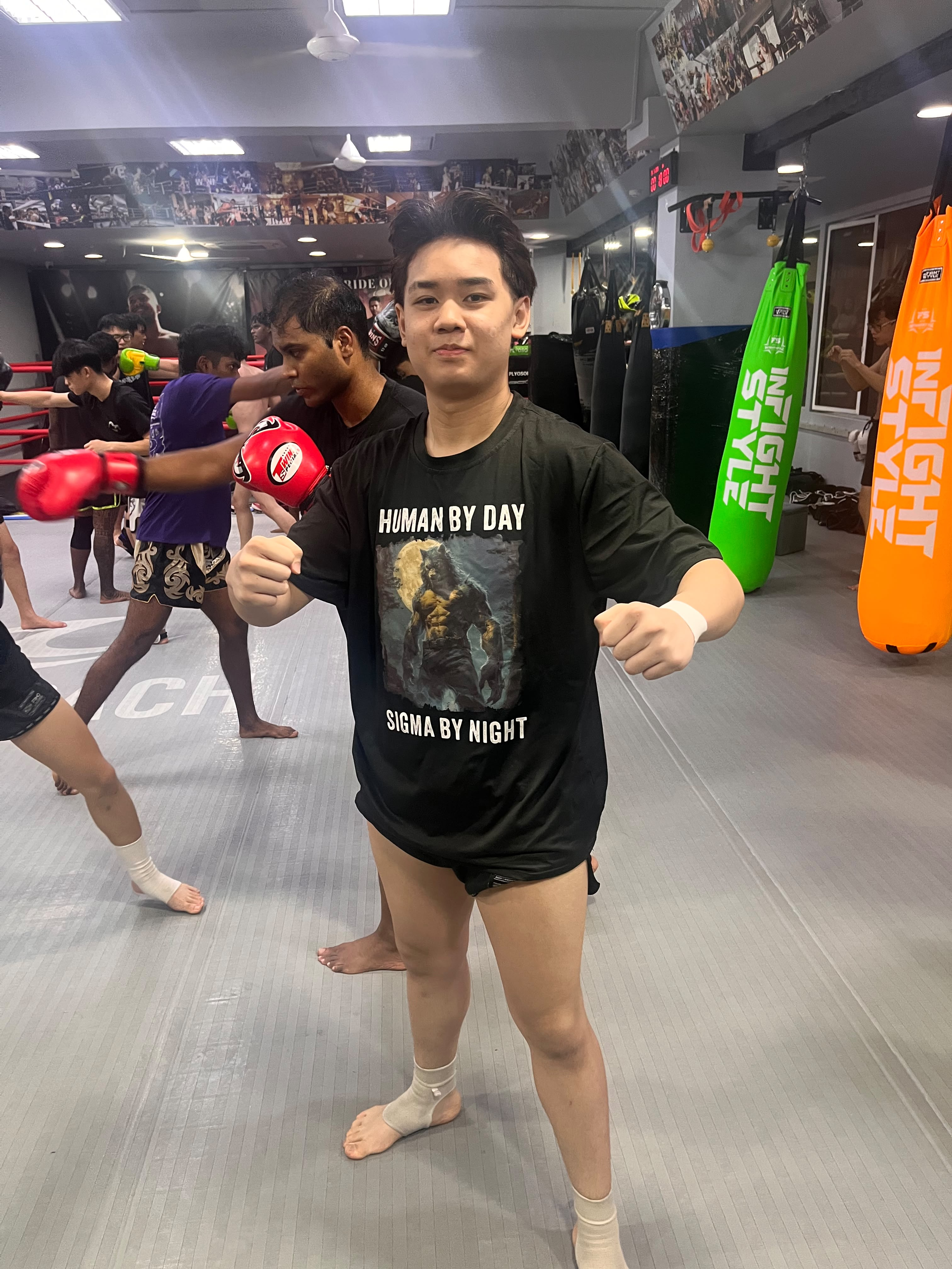 Current progress after training